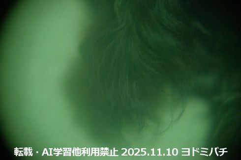 （xt10+xf35mmF1.4+ブラックミストプロテクター+φ52→端72フード+効果フィルター+PLフィルター+φ72→62ステップダウン+フォギー+ノスタルブルー+ブルーエンハンサー+クローズアップ+クロス+φ62フード）×犬氏のちっぽ。Glazeめんどいので画像ちっちゃいです。
転載・AI学習他利用禁止 2025.11.10 ヨドミバチ