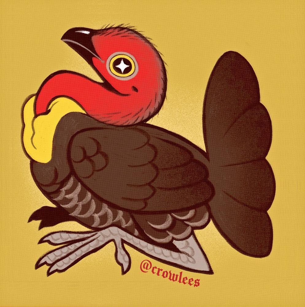 A cute and simple stylised illustration of an australian brush turkey on a bright mustard yellow background 