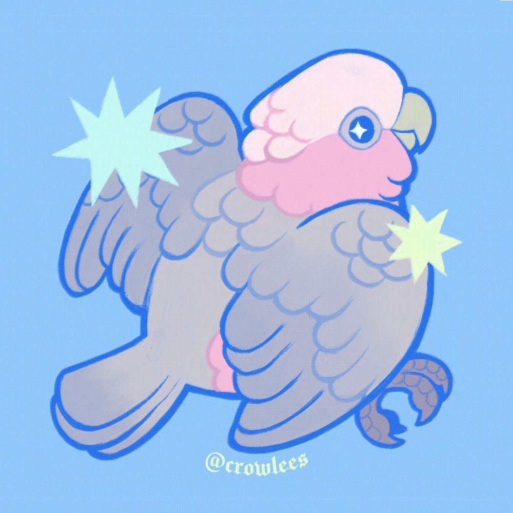 A cute and simple stylised illustration of a galah on a light sky blue background 