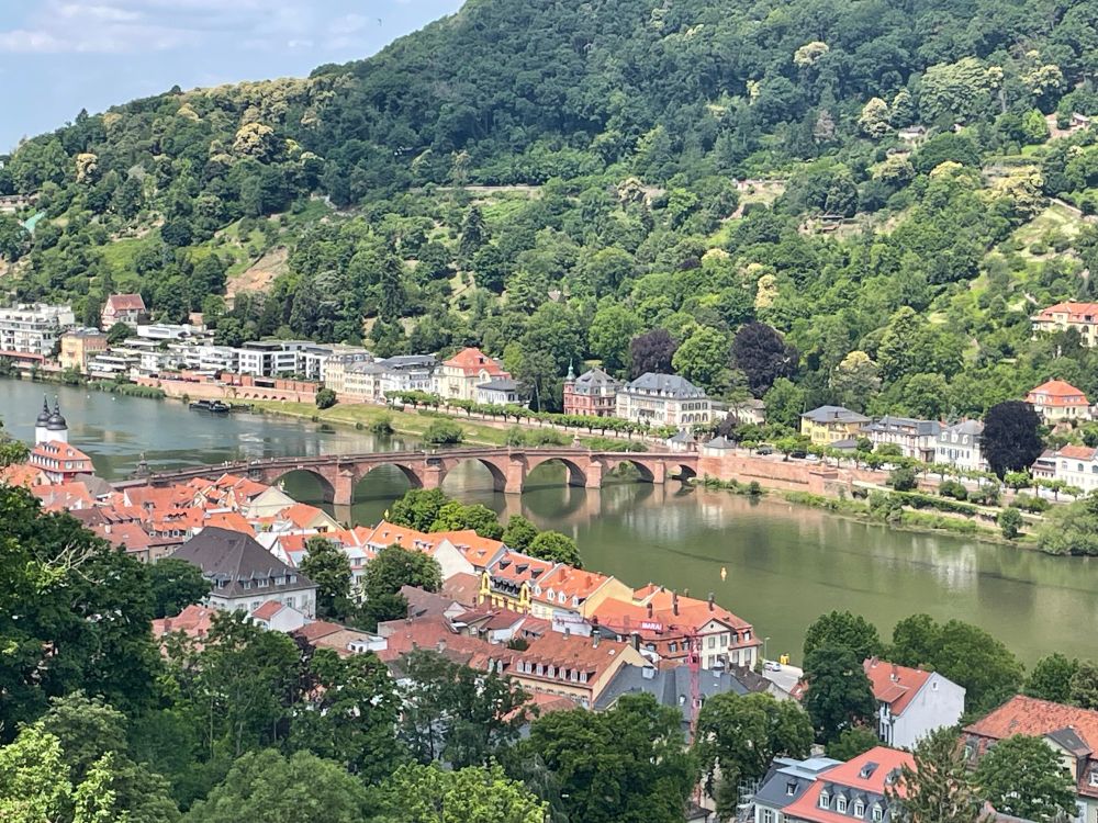 Heidelberg overlooking the Neckar River.