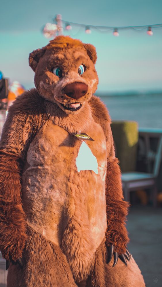 Big handsome tasty bear