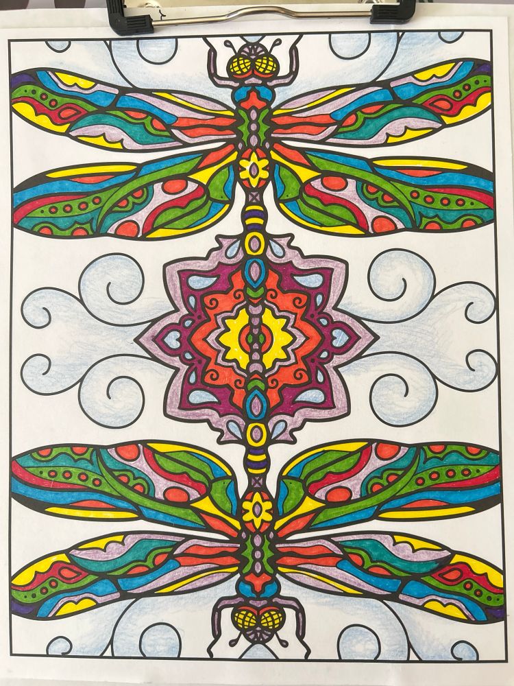 a coloring book page with 2 dragon flies reflecting each other from top to bottom with a mandala in the center and swirls around them representing a breeze or water as though one of dragonflies is a reflection in the water