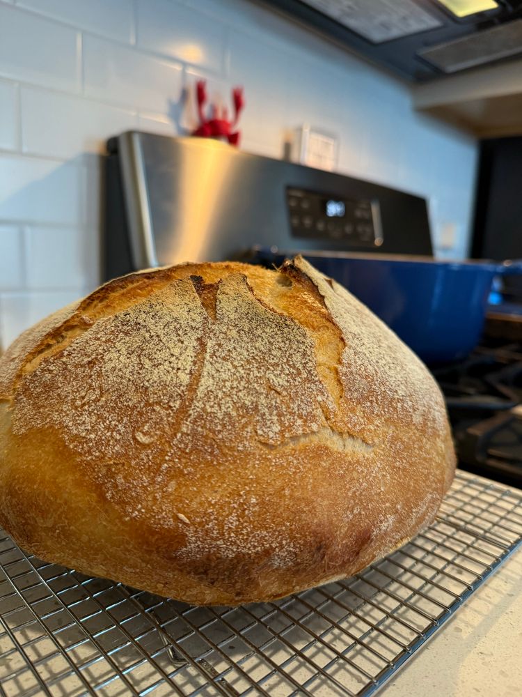 Loaf of sourdough bread on a cooling rack. 