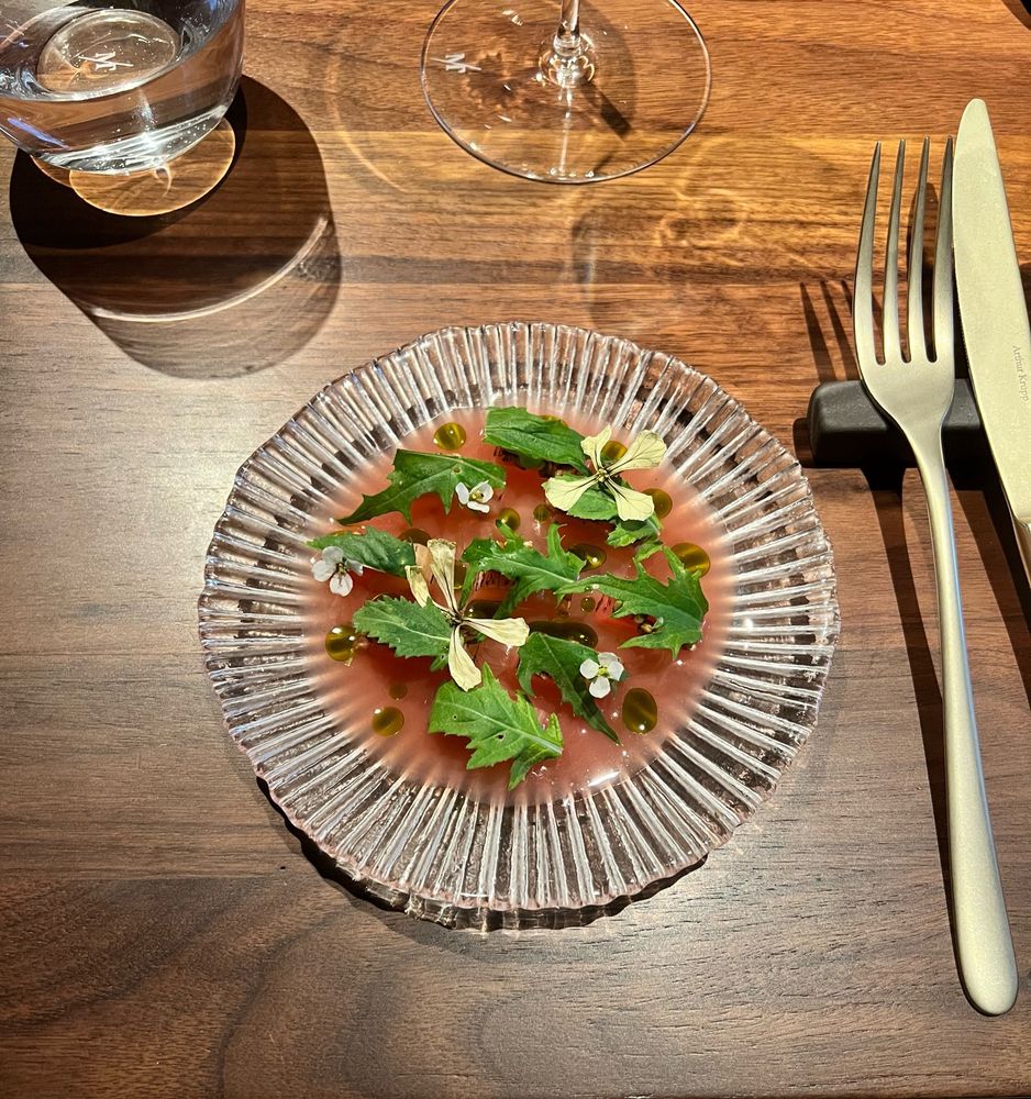 Rhabarber Ceviche, Wasabi Ruccola, Holunder