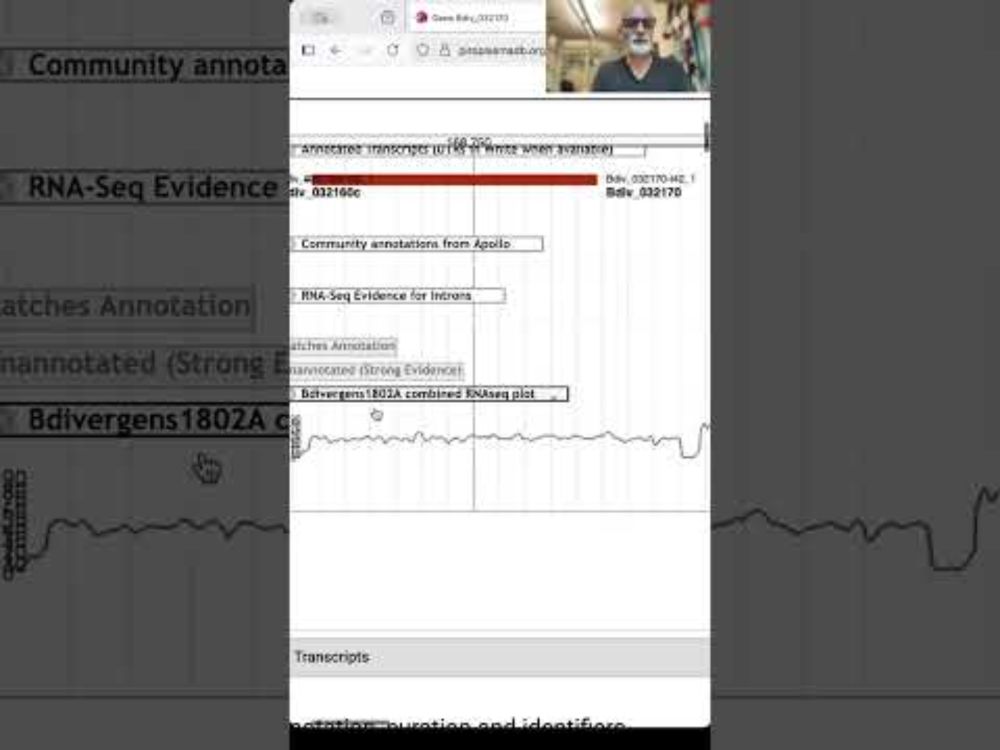 Intron spanning reads and gene models