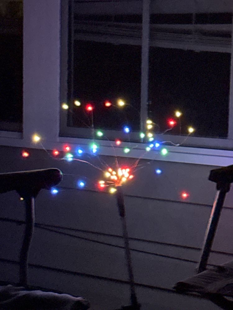 Display of tiny festive multicolored lights.