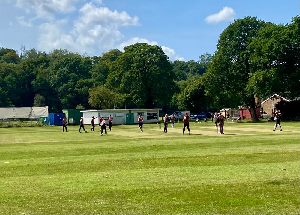 Machen celebrate a wicket