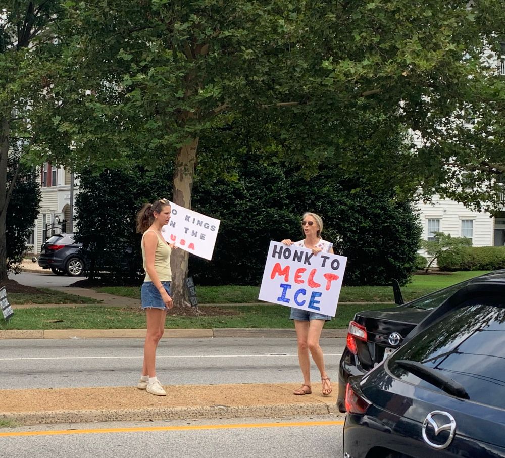 A Tesla Takedown protester stands in the median with a sign that says, “Honk to Melt Ice.” (the sign got a lot of honks) 