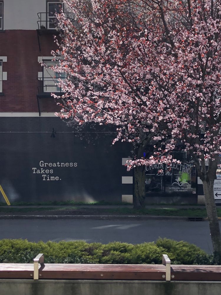 Plum tree in bloom next to mural: “Greatness Takes Time”