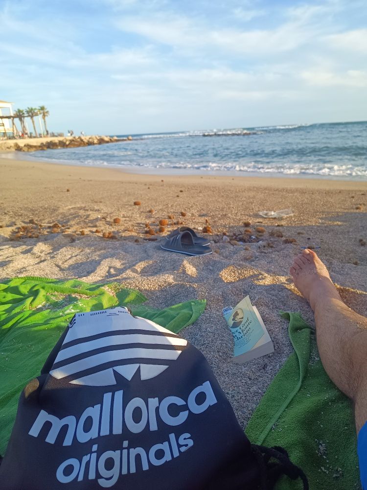 Strand, Tag, Patschen, Sackerl, Buch, Handtuch grün