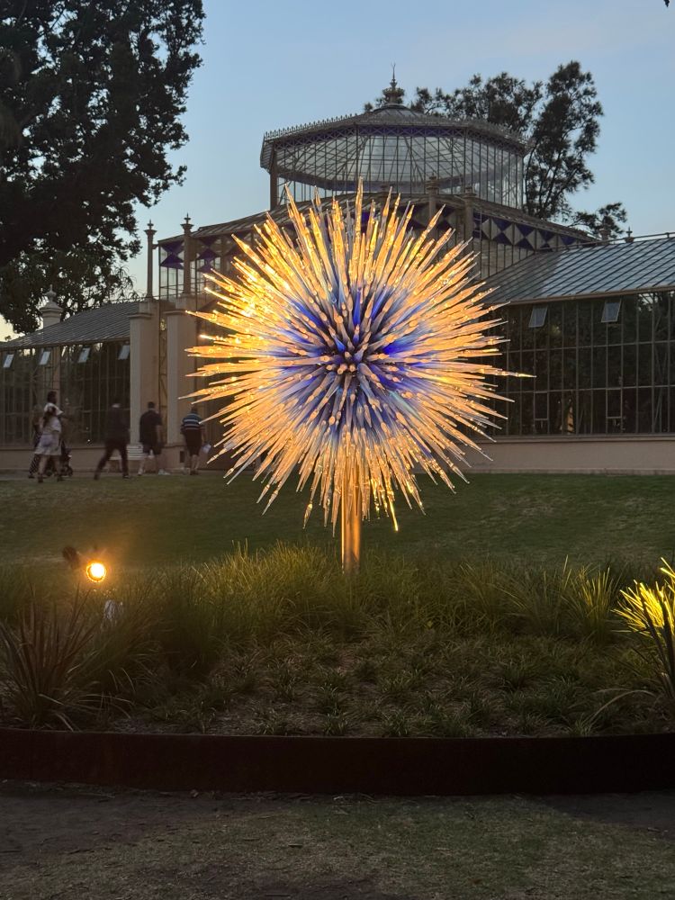A Chihuly sculpture that resembles a dandelion. 