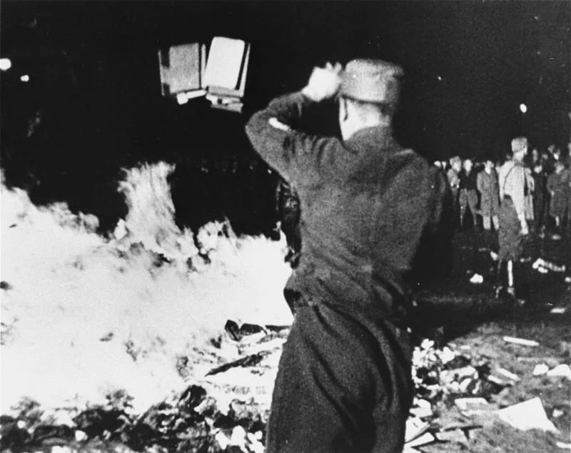 Famous picture of the Nazis burning the books from the Institut für Sexualwissenschaft.