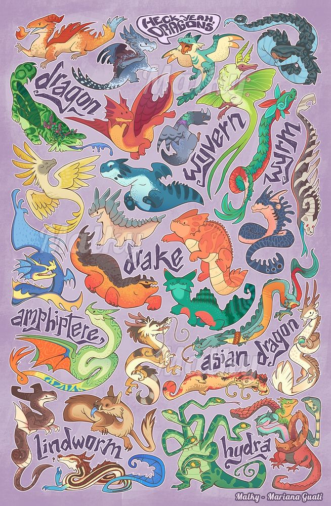 A poster of cartoony looking dragons divided for their physical characteristics, from dragons (four limbs and wings), to wyverns (two limbs and wings), wyrms (no limbs no wings), drake (four limbs no wings), amphiptere (wings no limbs), asian or oriental dragons (four limbs no wings and elongated bodies), lindworm (two frontal limbs and no wings) and hydra (several heads and varying limbs). All placed against a lavender backdrop.