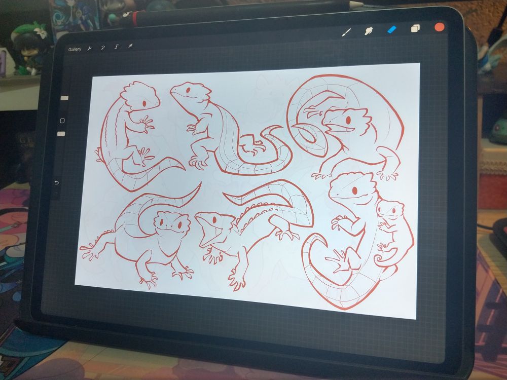 Sketch of six red eyed crocodile skinks