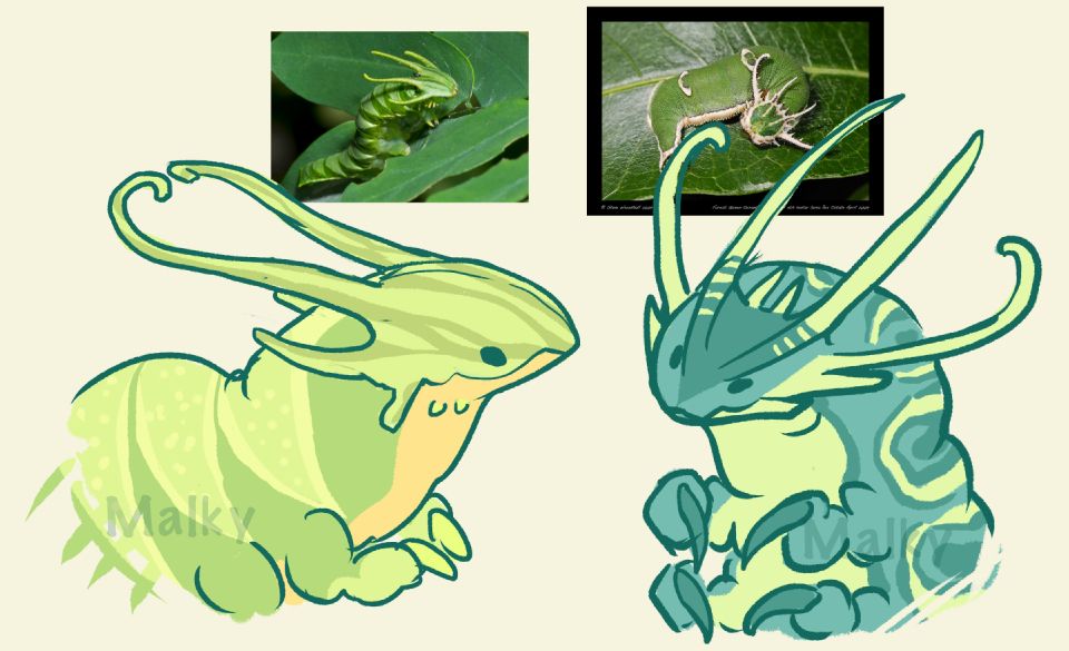 Bust shots of the caterpillar creatures with two color variations. The light green with an orange underside to the left and a dark teal with opaque yellow underside and details.