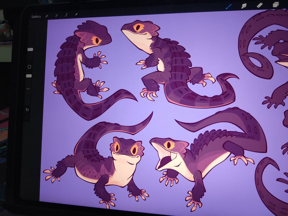 WIP of red eyed crocodile skink drawings