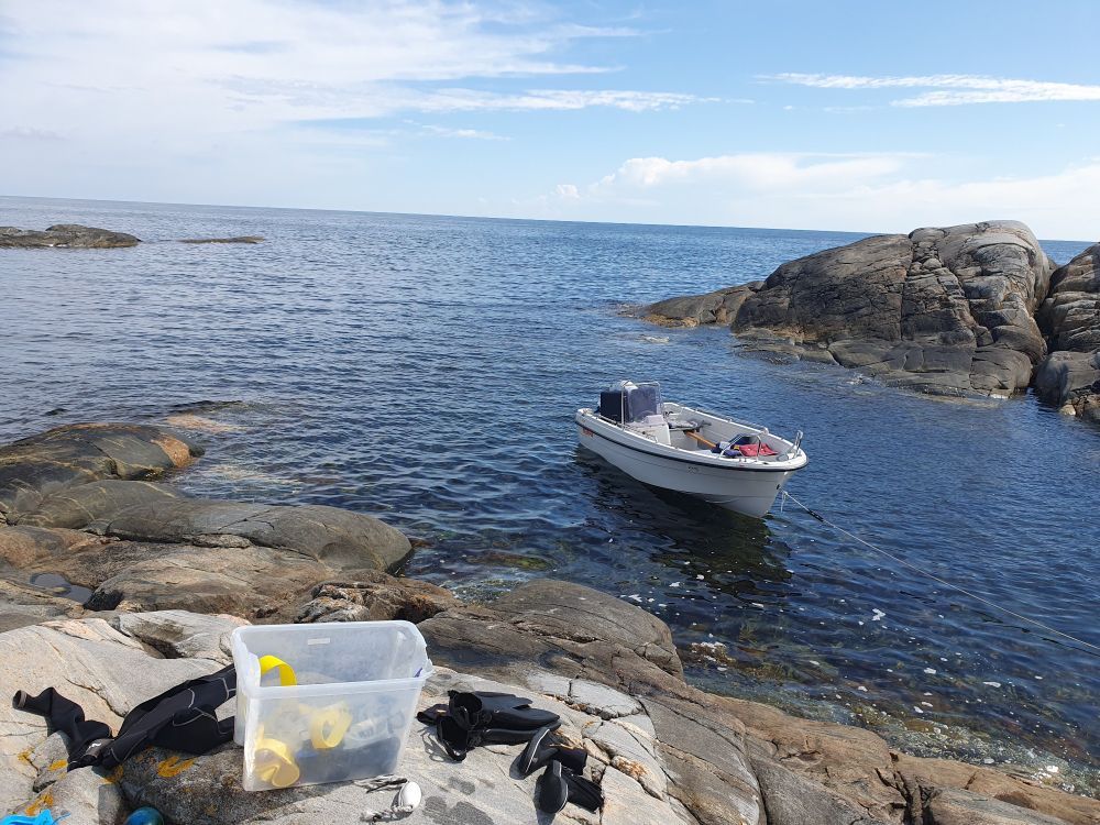 15 foot boat moored by an island. The open ocean behind it.