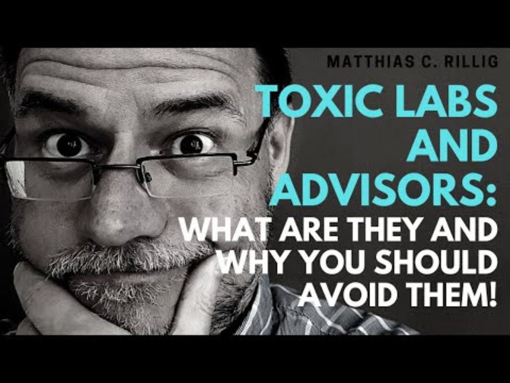Toxic labs: what are they and why you should avoid them. #phdlife #academia #mentalhealth