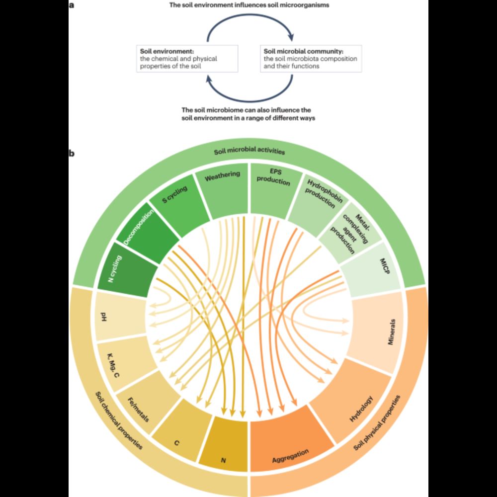 The interplay between microbial communities and soil properties - Nature Reviews Microbiology