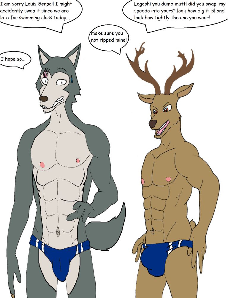 as Legoshi and Louis secretly sleep together last night they late for class and manage to swapped their speedo and realized when they already in swimming pool! X3