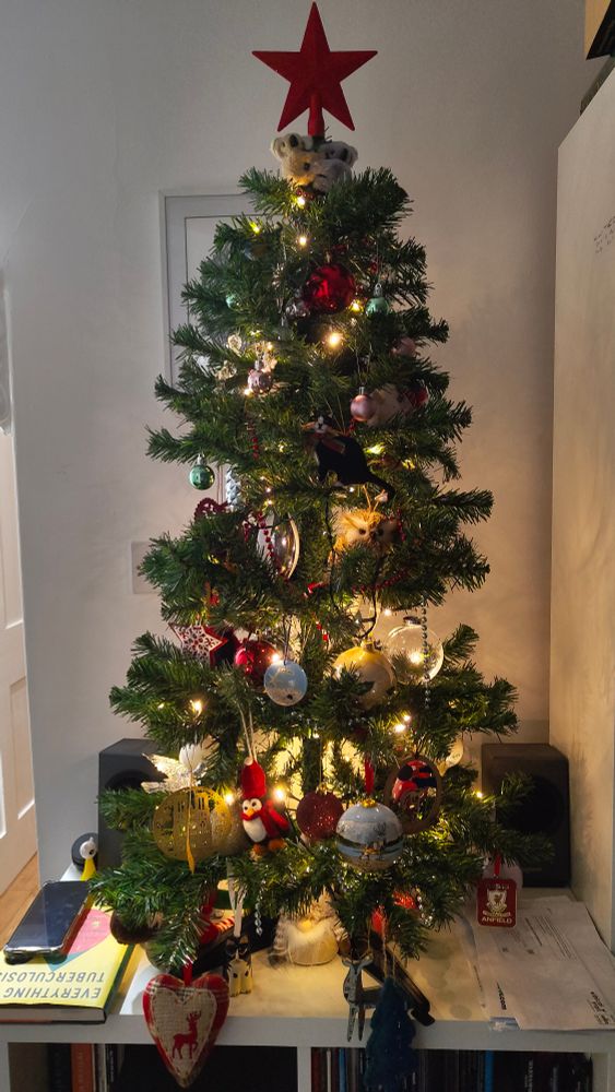 A Christmas tree with a red star, bathed in warm light. Numerous individual decorations are made of glass, represent black cats, or commemorate places around the world such as Liverpool, Zadar, Valencia, and San Francisco
