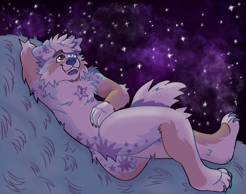 Blue, white, and brown Australian Shepherd laying oh his back on the grass, stargazing with a smile