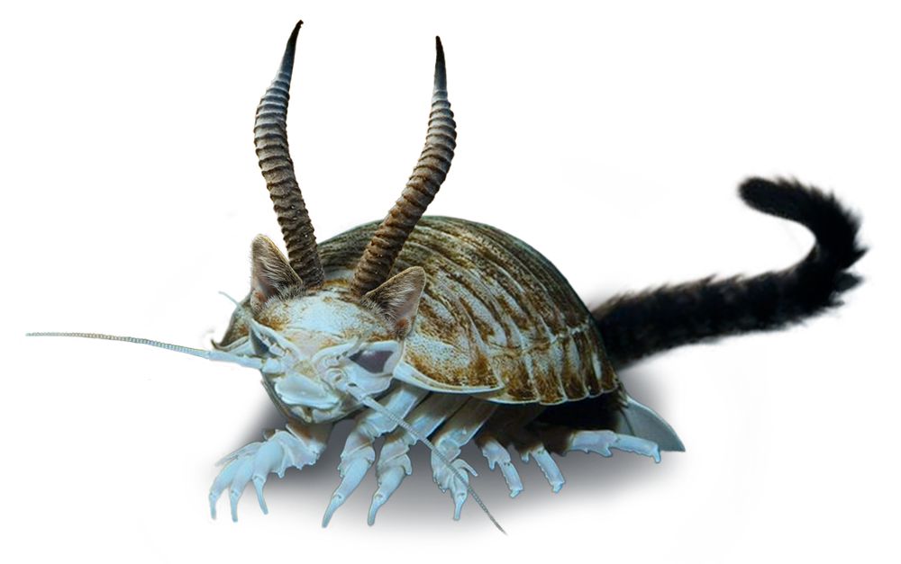 Same as previous but it's a transparent background