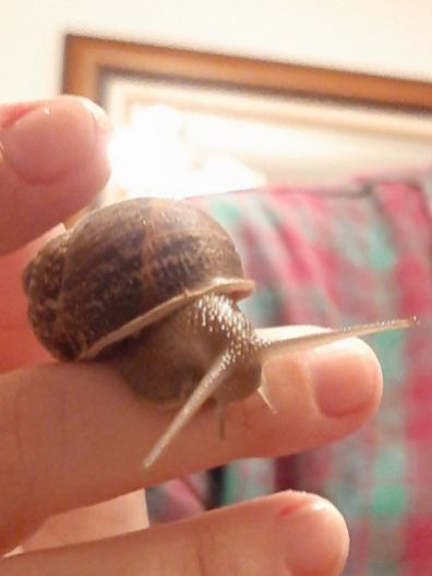 Guille, xa máis maior, pousado nun dedo.