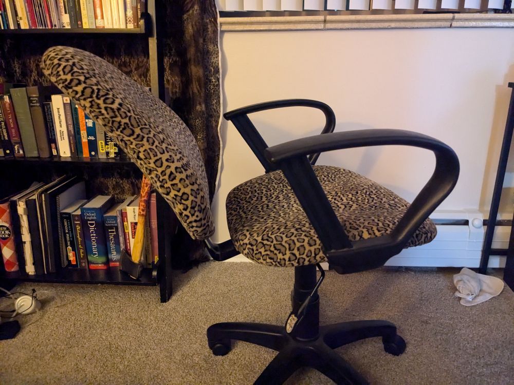 Picture of a leopard print task chair in front of a bookshelf. The back of the chair is bent back significantly more than it should be with nobody in it