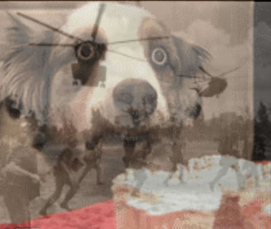 Comment image