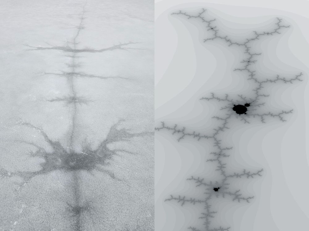 patterns in ice similar to a fractal rendered next to it