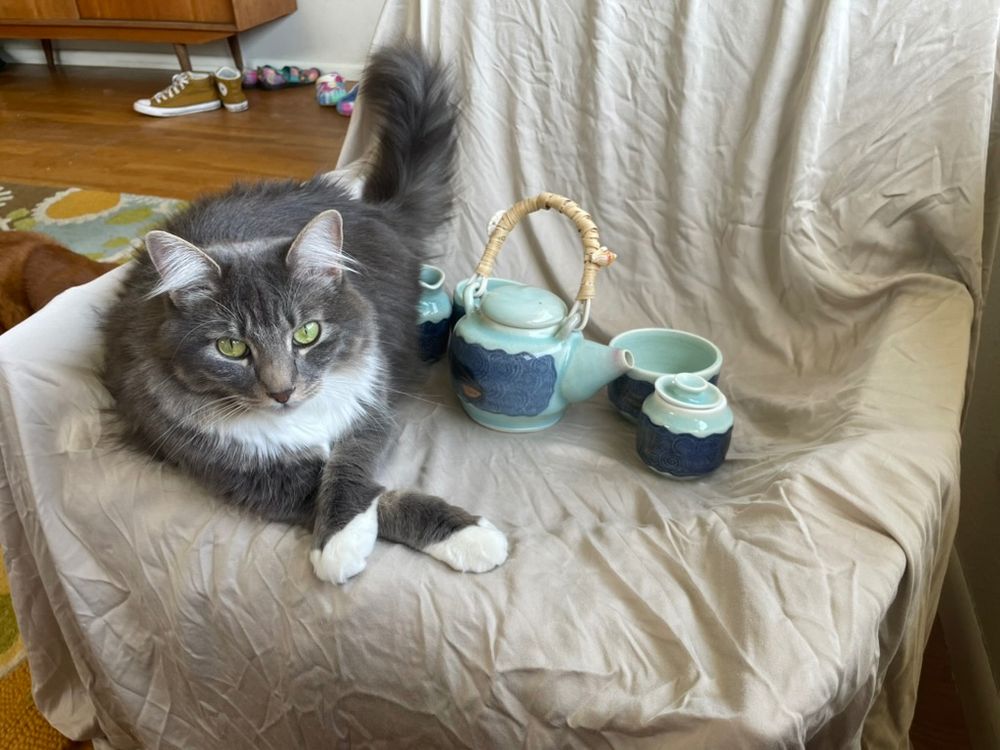 Cat with handmade ceramic tea set