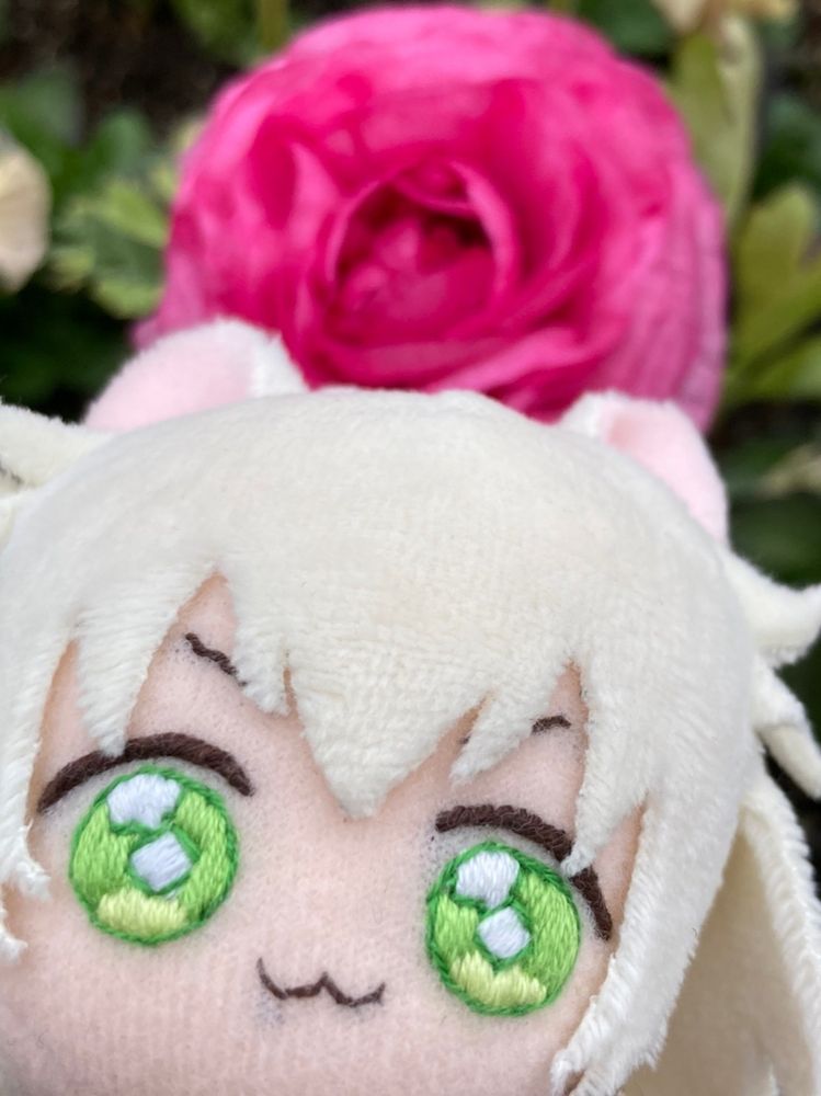 ふわふわのつくしと　ばらの花