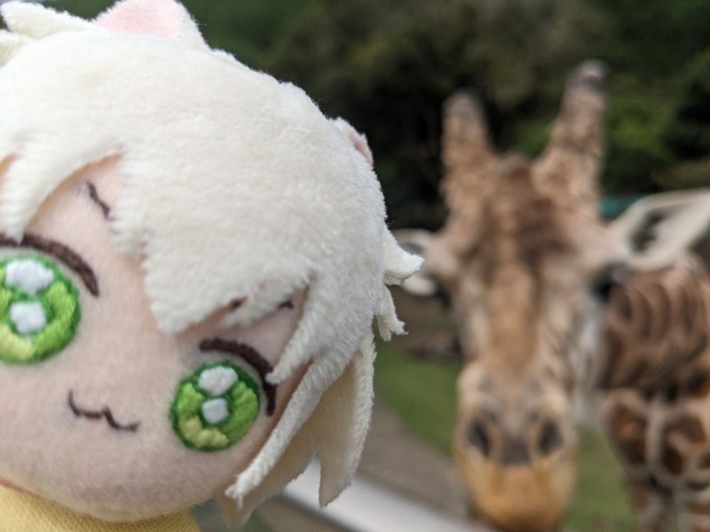 ひだりの子はつくし　ふわふわの子。　みぎの子はきりんさん　くびのながい子