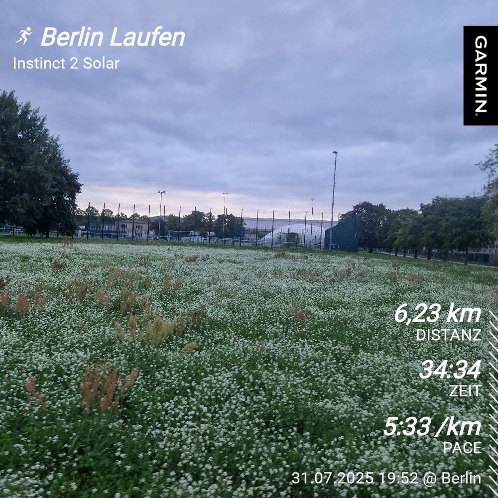 Blick über eine blühender Wiese im Sportforum dazu die Laufstatistik des heutigen Laufes 6,23km in 34:34min