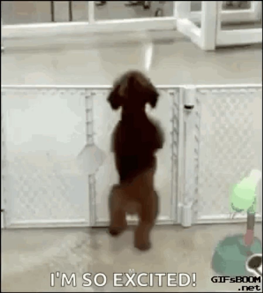 a dog is standing on its hind legs in front of a fence and looking at something .