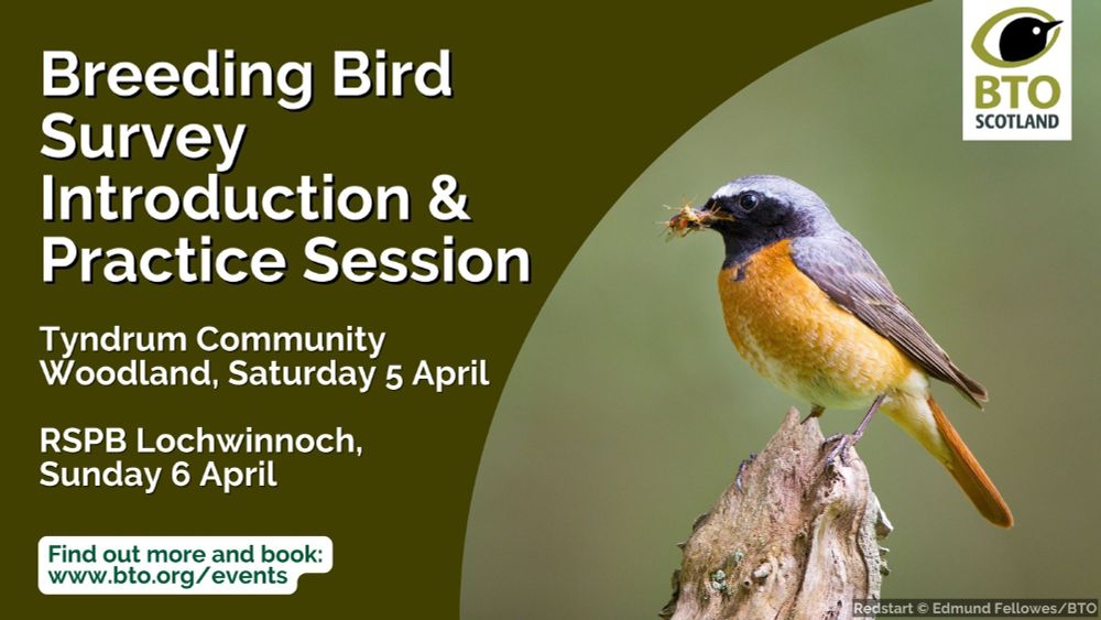 Image of a Redstart perched on a branch with prey in bill. Wording to the left reads: Breeding Bird Survey Introduction & Practice Session. Tyndrum Community Woodland, Saturday 5 April. RSPB Lochwinnoch, Sunday 6 April. Find out more and book: www.bto.org/events. BTO Scotland logo top right of the image. Image credit reads: Redstart © Edmund Fellowes/BTO.