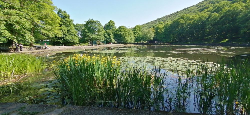 Looking across the lake in Darran Park, Ferndale, Rhondda Valleys, South Wales