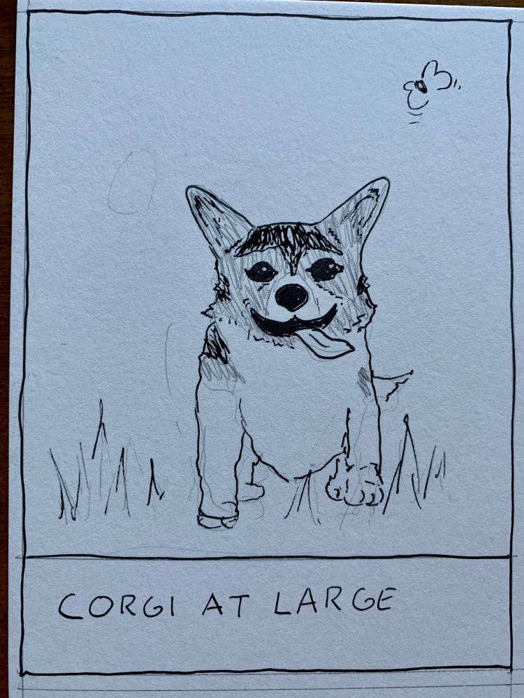 
CORGI AT LARGE