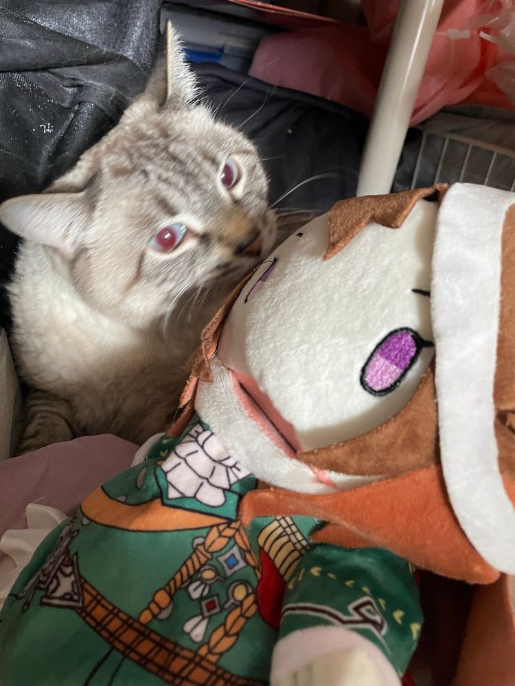 Cat attacking uma musume puppet