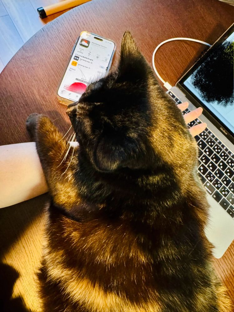 Top-down photo of Luna, a tortoiseshell colored cat on my arm, stopping me from typing on my keyboard