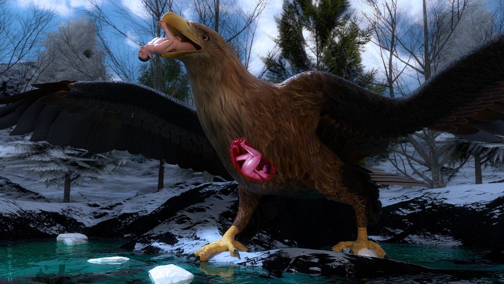 A massive brown eagle swallows a man whole. A woman is already in the eagle's belly. The two humans are seemingly happy, enjoying the fact they are being eaten. The surrounding is a wintery, snowy mountain, and the humans are glad to be somewhere warm.