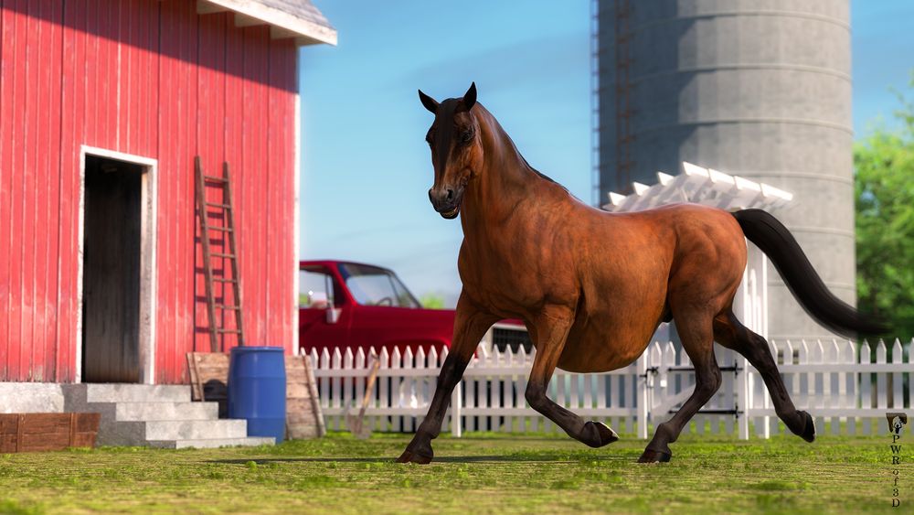 A horse trots around on a farm with a massive, hanging belly. The horse seems happy after eating the farmer. 