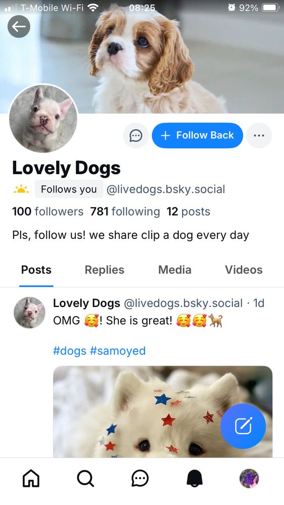 Screencap of a Bluesky profile for @livedogs.bsky.social. Account name is Lovely Dogs. Bio is “Pls, follow us! we share clip a dog every day”. One visible post includes hashtags but no attribution for the photo.
The pictured samoyed covered in red and blue star stickers is, admittedly, cute. 