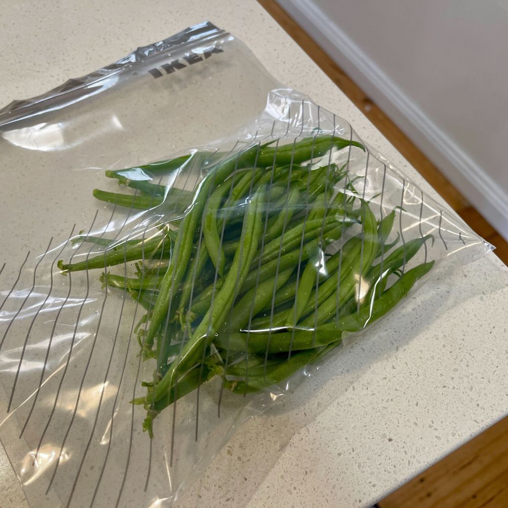 A ziplock bag half filled with homegrown green beans