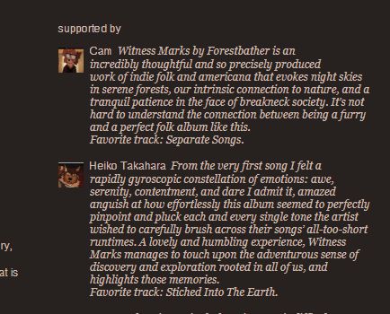 2 reviews for an album on bandcamp offering praise for it. the substance of the reviews is not the point of the screenshot as much as showing that the option to leave a review is available.