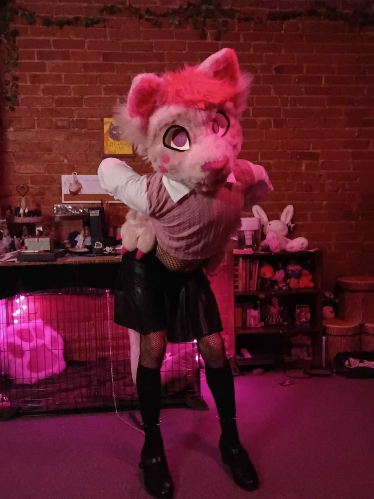 Gay pink catboy striking a pose! Hands on his hips, looking sassy! He's wearing a cute pink collared sweater vest, but his lower half is all fishnets, pleather and spiked anklets!
