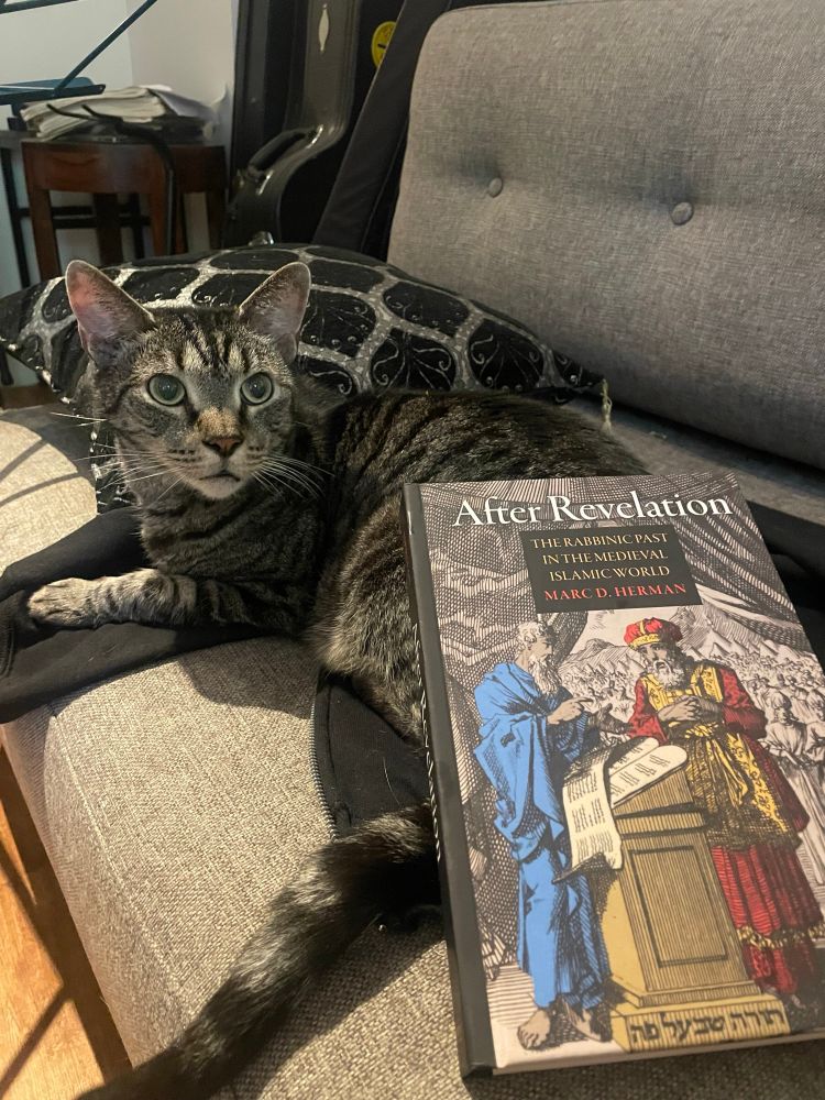 Book—Marc Herman’s After Revelation—on couch with curious gray cat 