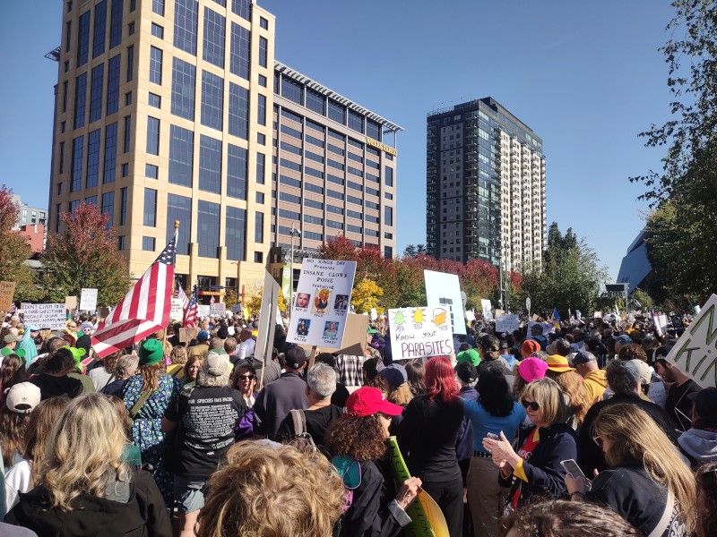 Big crowd at No Kings protest at The Commons in downtown Minneapolis