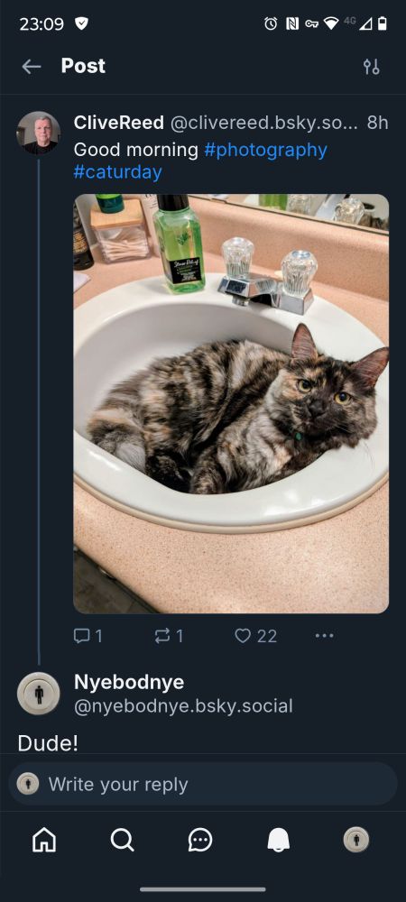 Comment image